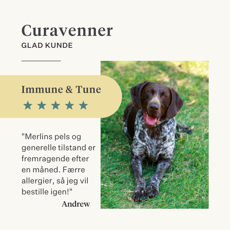 hund, hvalp, lakseolie, omega-3, kløende hud, tør hud, led, immunitet, supplement, kosttilskud | localization: DA