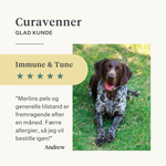hund, hvalp, lakseolie, omega-3, kløende hud, tør hud, led, immunitet, supplement, kosttilskud | localization: DA