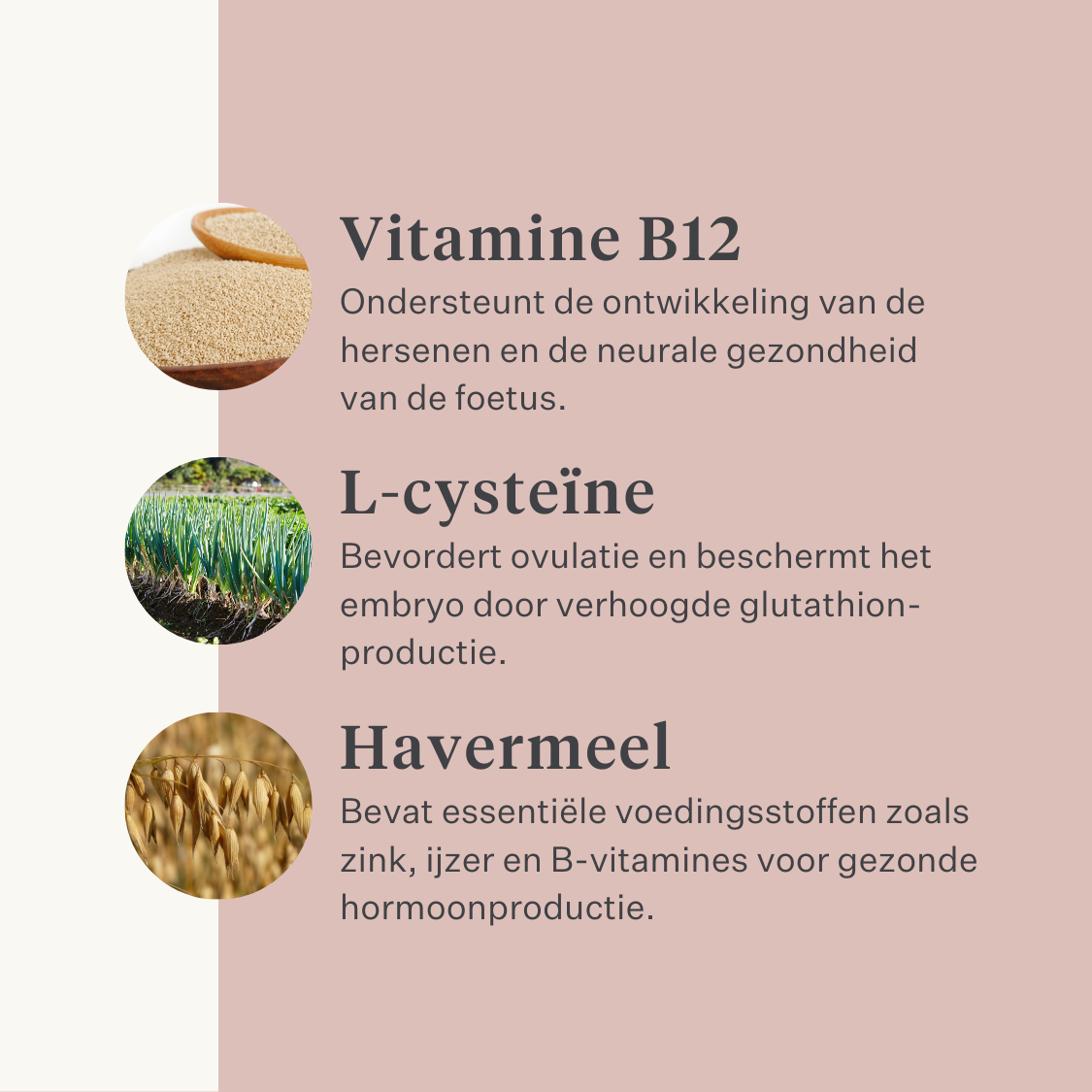 merrie veulen paard pony vruchtbaarheid baarmoeder hengstigheid merrie gedrag cyclus hengstig paardig hormoonbalans | localization: NL
