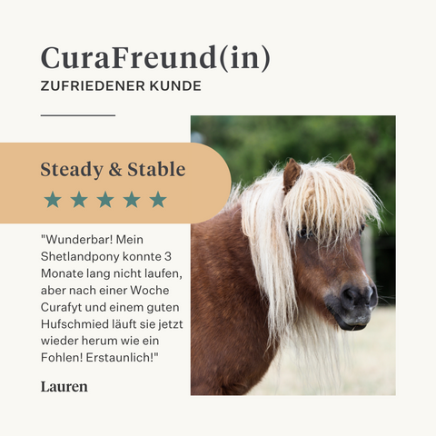 Steady&Stable Curafyt Ergänzung für Pferde und Ponys, Hufrehe, empfindliche Hufe, Insulin, Glukose, PPID, Cushing-Syndrom | localization: DE