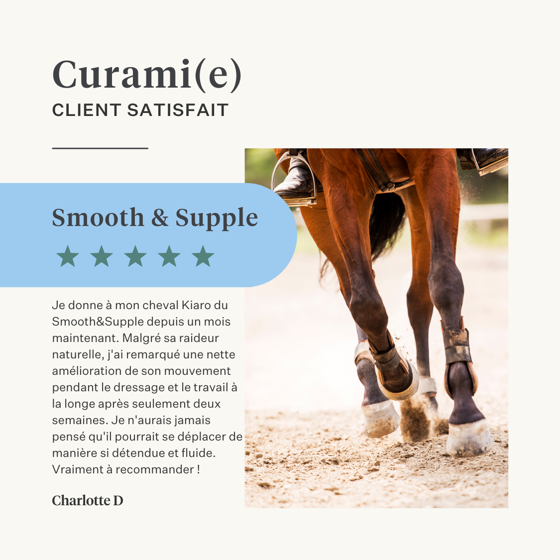 Supplément naturel pour cheval et poney, articulations, ligaments, tendons, muscles | localization: FR