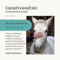 Ergänzung Immunität Muskeln Haut Darm Kurkuma Curcumin Pferd Pony | localization: DE