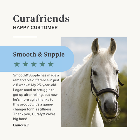 Natural supplement horse pony joints ligaments tendons muscles