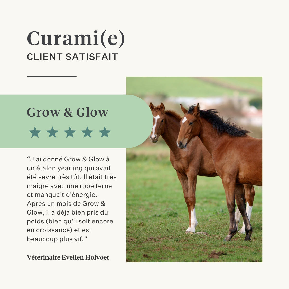 supplément huile pressée à froid endurance des chevaux poids muscles vitamine E huile de lin DHA EPA oméga-3 | localization: FR
