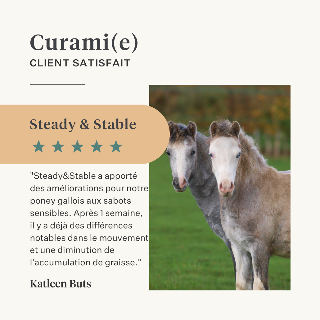 Steady&Stable Curafyt complément pour chevaux et poneys, fourbure, sensibilité des sabots, insuline, glucose, PPID, maladie de Cushing | localization: FR