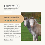 Steady&Stable Curafyt complément pour chevaux et poneys, fourbure, sensibilité des sabots, insuline, glucose, PPID, maladie de Cushing | localization: FR