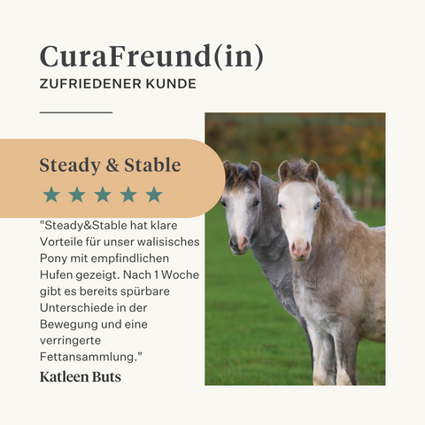 Steady&Stable Curafyt Ergänzung für Pferde und Ponys, Hufrehe, empfindliche Hufe, Insulin, Glukose, PPID, Cushing-Syndrom | localization: DE