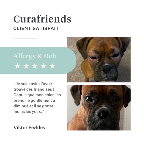 Imby Allergy & Itch complément pour chiens, soutient la santé de la peau et aide à réduire les démangeaisons, aide à maintenir une barrière cutanée forte et un système immunitaire équilibré, soutient le confort cutané via l’axe intestin-peau, formule hypoallergénique adaptée à un usage quotidien. | localization: FR