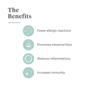 Imby Allergy & Itch supplement for dogs, supports skin health and reduces itching, helps maintain a strong skin barrier and balanced immune function, supports skin comfort through the gut-skin axis, hypoallergenic formula suitable for daily use. | localization: EN