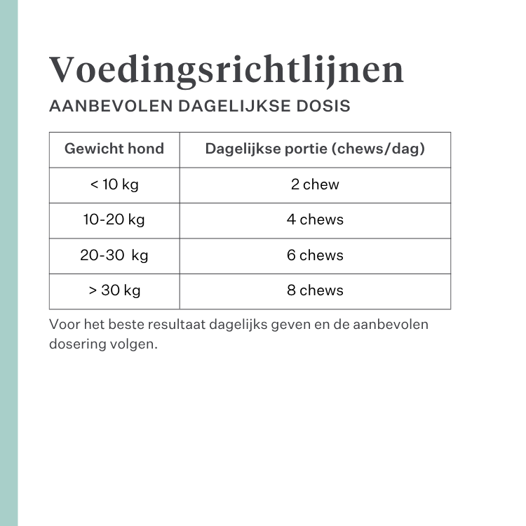 Imby Allergy & Itch supplement voor honden, ondersteunt de huidgezondheid en helpt jeuk te verminderen, helpt een sterke huidbarrière en een gebalanceerd immuunsysteem te behouden, ondersteunt huidcomfort via de darm-huid as, hypoallergene formule geschikt voor dagelijks gebruik. | localization: NL