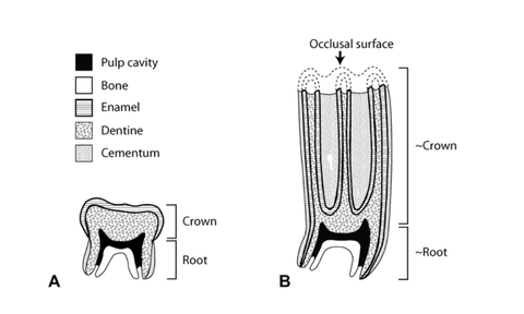 Talk about your brand