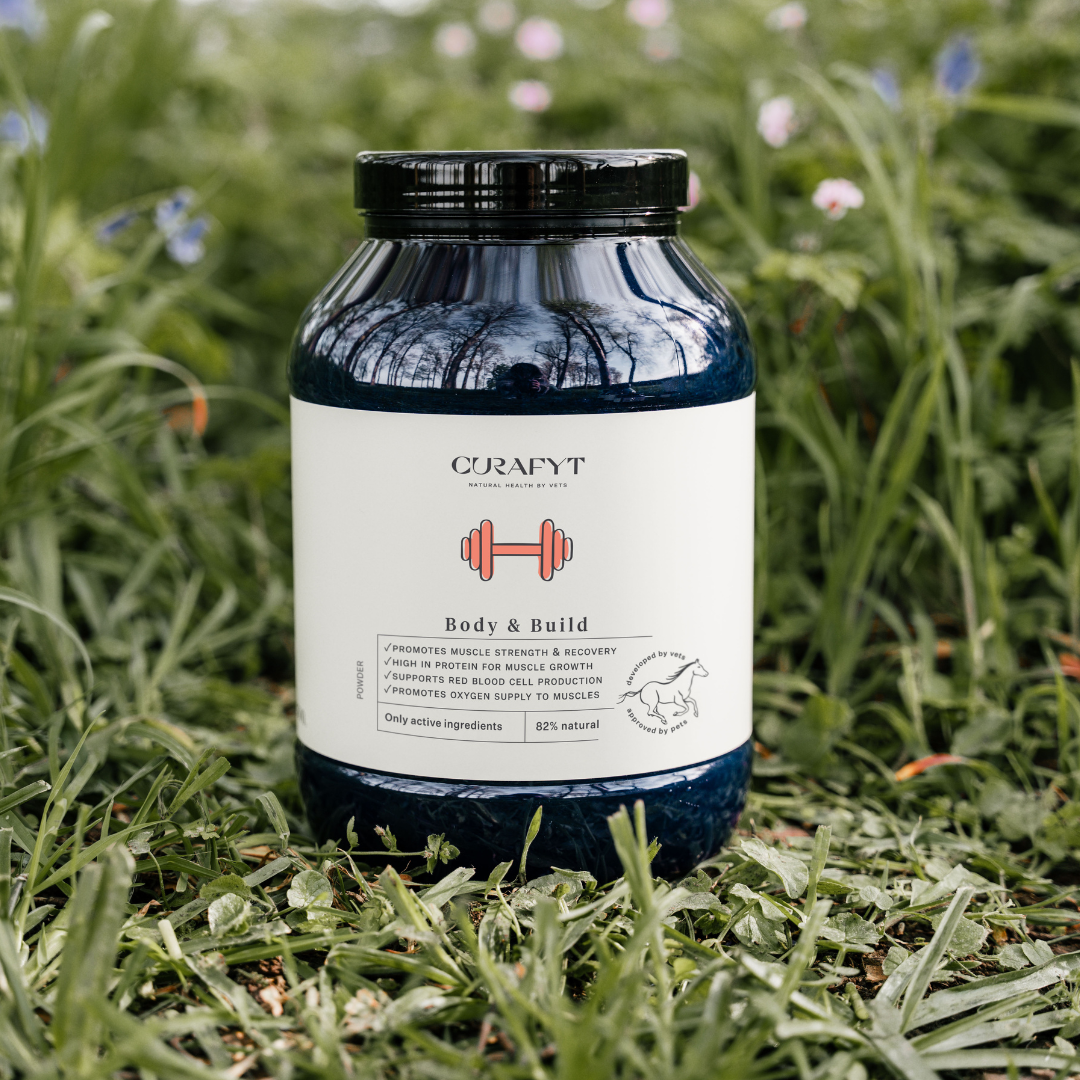 Body & Build tillskott