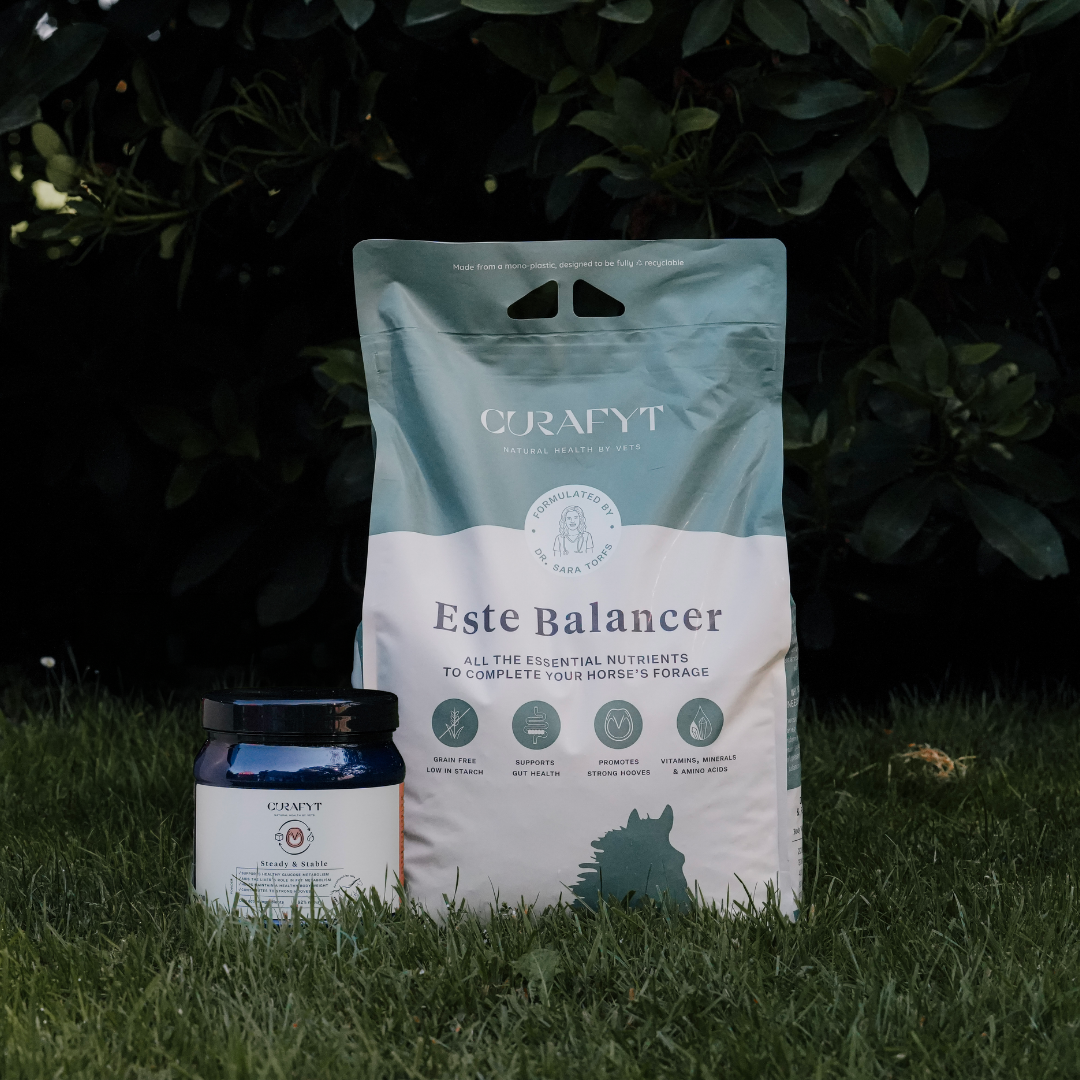 ESTE Balancer + Steady & Stable Bundle