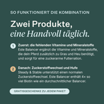 Este Balancer + Steady & Stable Low Sugar Bundle für Pferde, liefert essenzielle Vitamine und Mineralstoffe, unterstützt einen normalen Zuckerstoffwechsel, die Hufgesundheit und das Gewichtsmanagement, zuckerarme Formel für leichtfuttrige Pferde und Pferde mit empfindlichem Stoffwechsel. | localization: DE