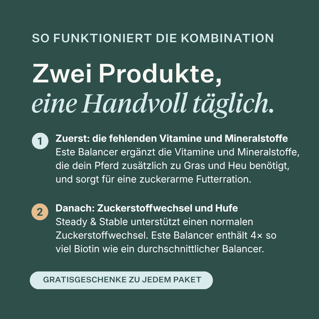 Este Balancer + Steady & Stable Low Sugar Bundle für Pferde, liefert essenzielle Vitamine und Mineralstoffe, unterstützt einen normalen Zuckerstoffwechsel, die Hufgesundheit und das Gewichtsmanagement, zuckerarme Formel für leichtfuttrige Pferde und Pferde mit empfindlichem Stoffwechsel. | localization: DE
