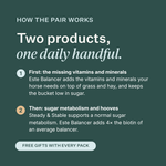 Este Balancer + Steady & Stable Low Sugar Bundle for horses, provides essential vitamins and minerals, supports healthy sugar metabolism, hoof health and weight management, low-sugar formula for easy keepers and horses with metabolic sensitivities. | localization: EN