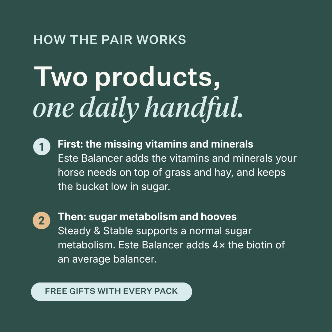 Este Balancer + Steady & Stable Low Sugar Bundle for horses, provides essential vitamins and minerals, supports healthy sugar metabolism, hoof health and weight management, low-sugar formula for easy keepers and horses with metabolic sensitivities. | localization: EN