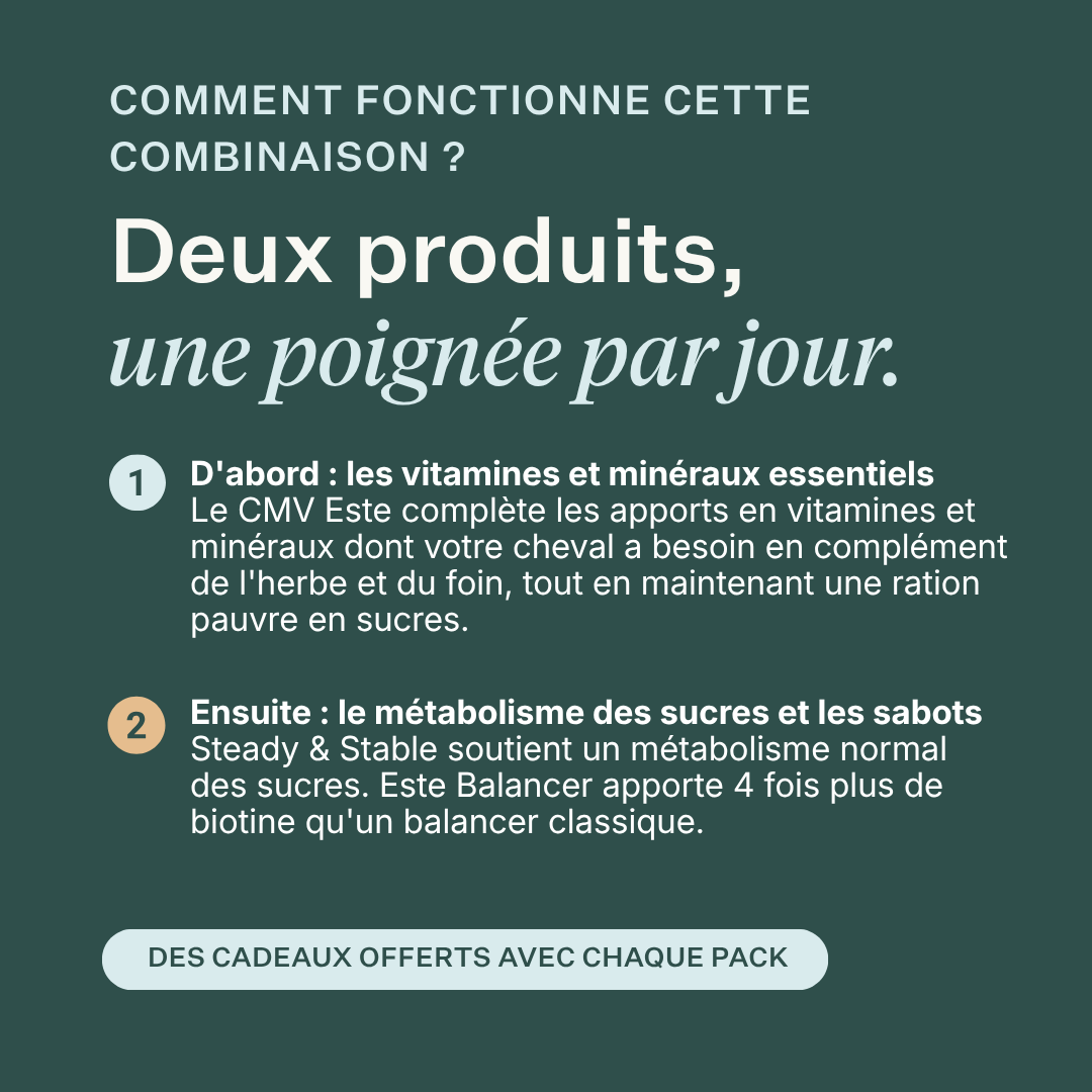Pack Low Sugar Este Balancer + Steady & Stable pour chevaux, apporte les vitamines et minéraux essentiels, soutient le métabolisme normal des sucres, la santé des sabots et la gestion du poids, formule pauvre en sucres adaptée aux chevaux ayant tendance à l'embonpoint et aux chevaux présentant des sensibilités métaboliques. | localization: FR