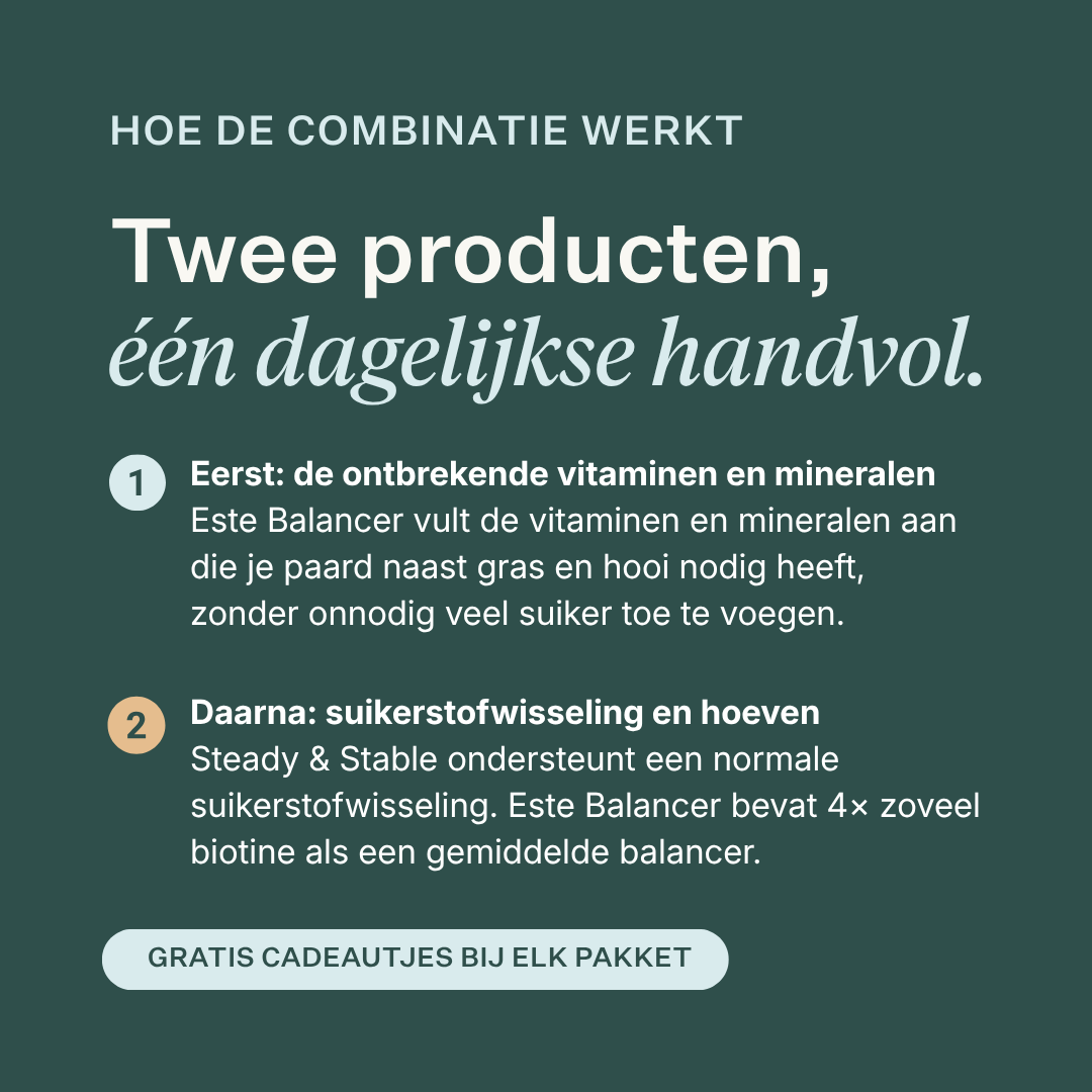 Este Balancer + Steady & Stable Low Sugar Bundle voor paarden, levert essentiële vitaminen en mineralen, ondersteunt een normale suikerstofwisseling, gezonde hoeven en gewichtsbeheersing, suikerarme formule voor sobere paarden en paarden met een gevoelige stofwisseling.