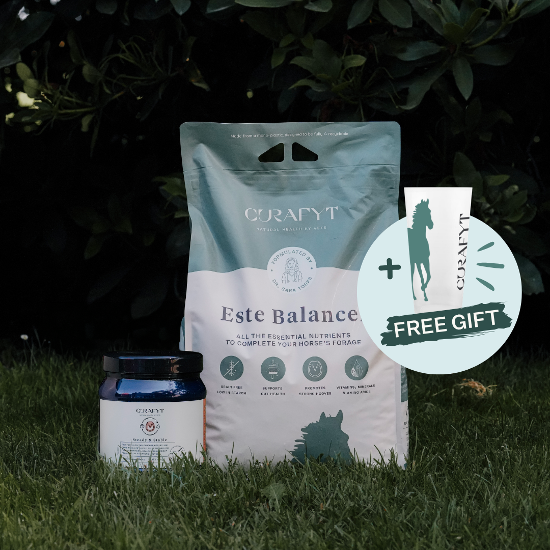 ESTE Balancer 7.5 kg bag and a 500 g jar of Steady & Stable on the grass, with a free Curafyt dosage cup