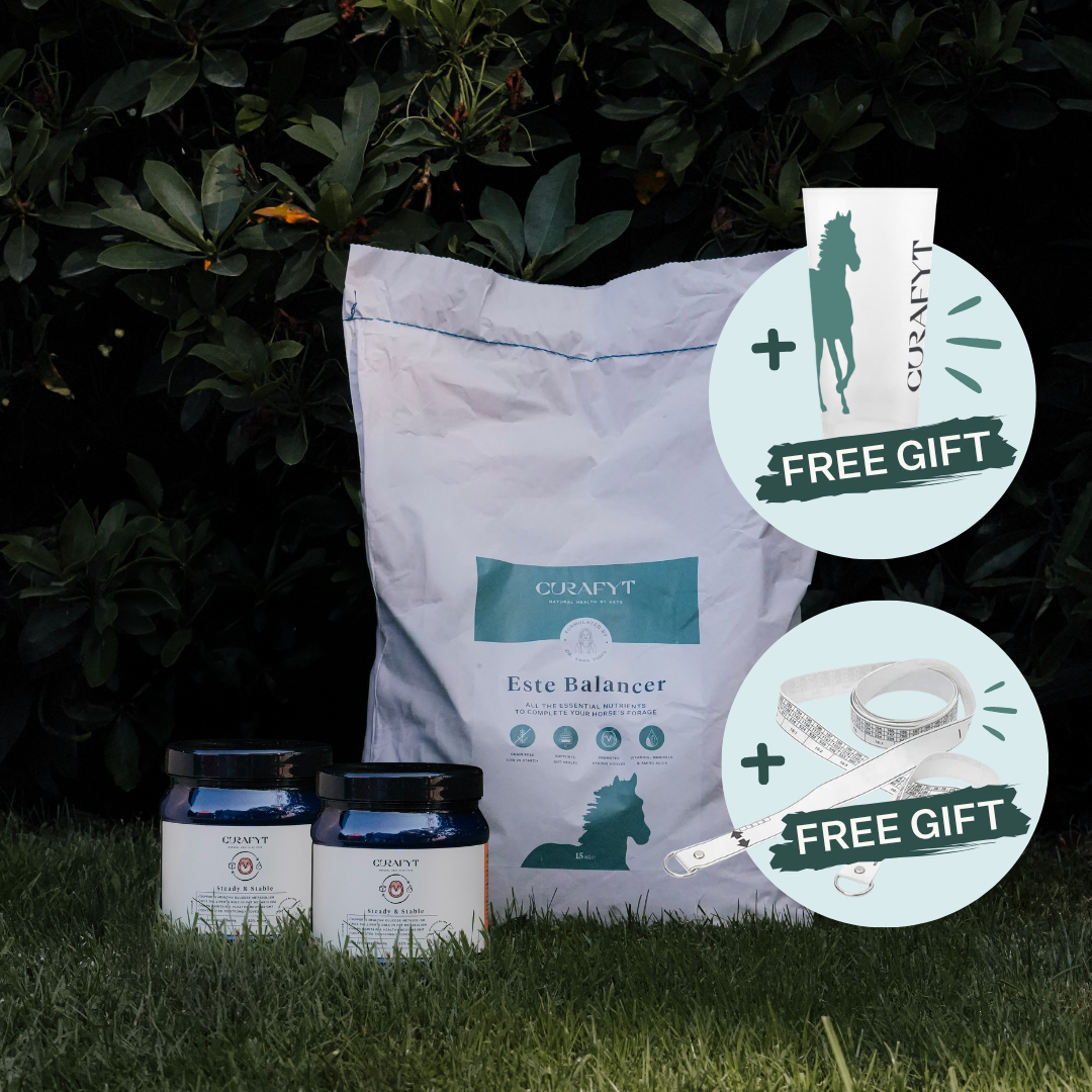 ESTE Balancer 15 kg bag and two 500 g jars of Steady & Stable on the grass, with a free dosage cup and a free weighband