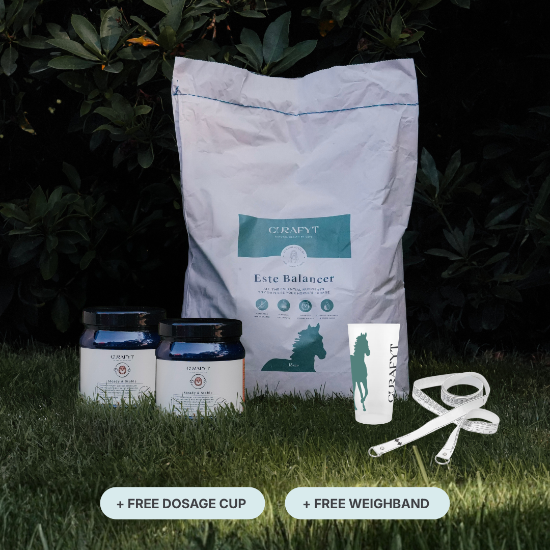 ESTE Balancer + Steady & Stable Bundle