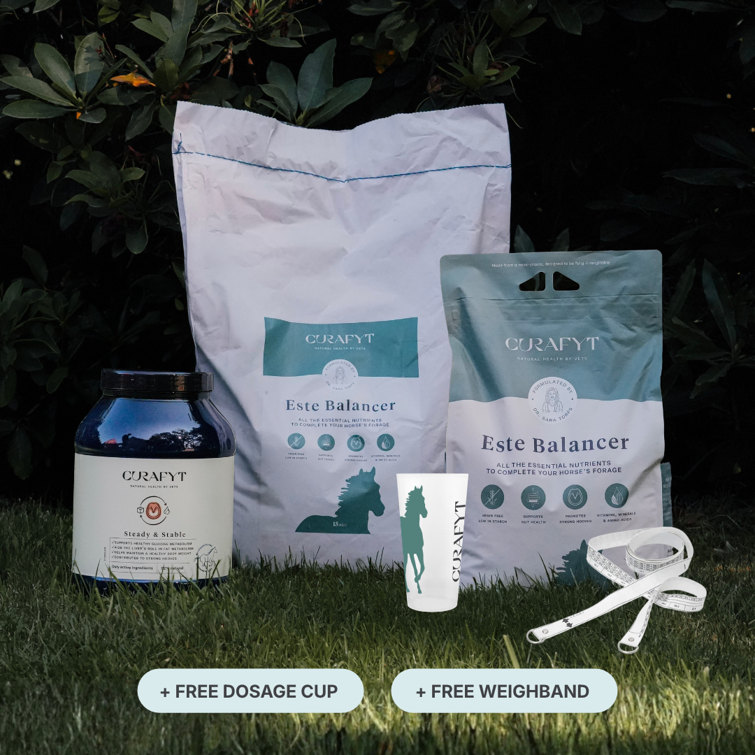 ESTE Balancer + Steady & Stable Bundle