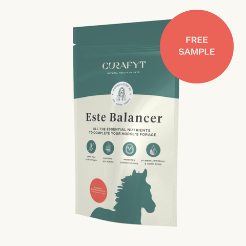 ESTE Balancer Sample