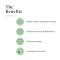 Imby Calm & Chill supplement for dogs, supports calm behaviour and emotional balance, helps dogs relax without dulling personality, supports the nervous system during stress, hypoallergenic formula suitable for daily use, helps dogs cope with noise, travel and changes. | localization: EN