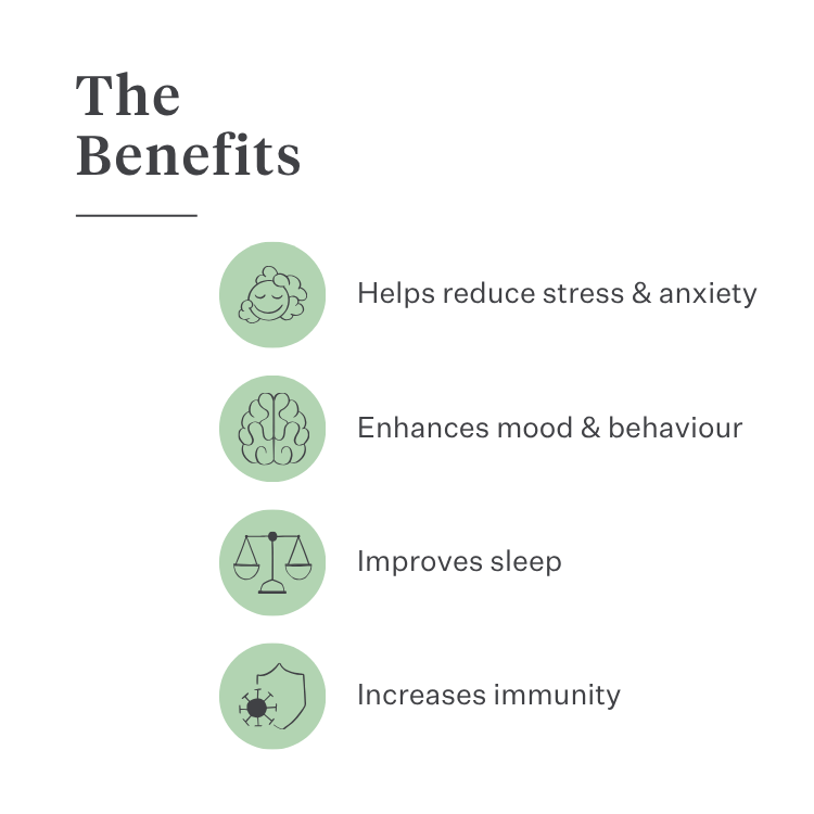 Imby Calm & Chill supplement for dogs, supports calm behaviour and emotional balance, helps dogs relax without dulling personality, supports the nervous system during stress, hypoallergenic formula suitable for daily use, helps dogs cope with noise, travel and changes. | localization: EN
