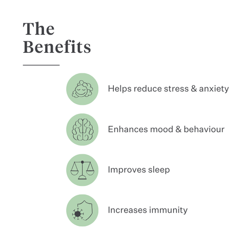 Imby Calm & Chill supplement for dogs, supports calm behaviour and emotional balance, helps dogs relax without dulling personality, supports the nervous system during stress, hypoallergenic formula suitable for daily use, helps dogs cope with noise, travel and changes. | localization: EN