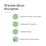 Imby Calm & Chill Ergänzungsfuttermittel für Hunde, unterstützt ruhiges Verhalten und emotionale Balance, hilft Hunden sich zu entspannen ohne ihre Persönlichkeit zu verändern, unterstützt das Nervensystem bei Stress, hypoallergene Formel für den täglichen Gebrauch geeignet, hilft bei Lärm, Reisen und Veränderungen. | localization: DE