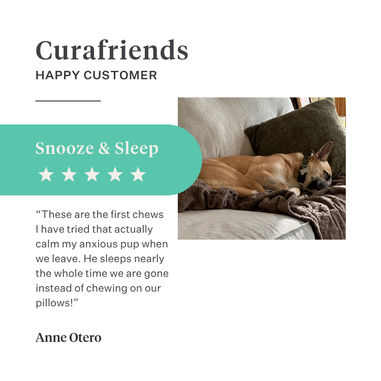 Imby Bed Time calming snacks for dogs, plant-based biscuits with chamomile and curcuma, supports relaxation and calm behaviour, helps soothe dogs and support joint health, natural bedtime treat for a peaceful night, highly palatable snack. | localization: EN
