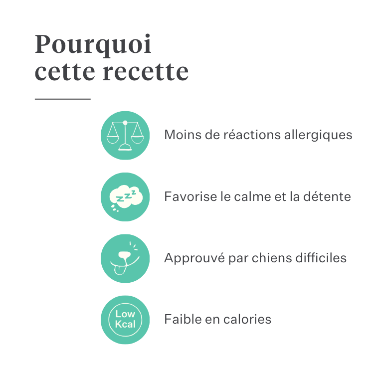 Imby Bed Time snacks apaisants pour chiens, biscuits végétaux à la camomille et au curcuma, soutiennent la relaxation et le calme, aident à apaiser les chiens et à soutenir la santé des articulations, friandise naturelle pour un repos nocturne paisible, snack très appétent. | localization: FR