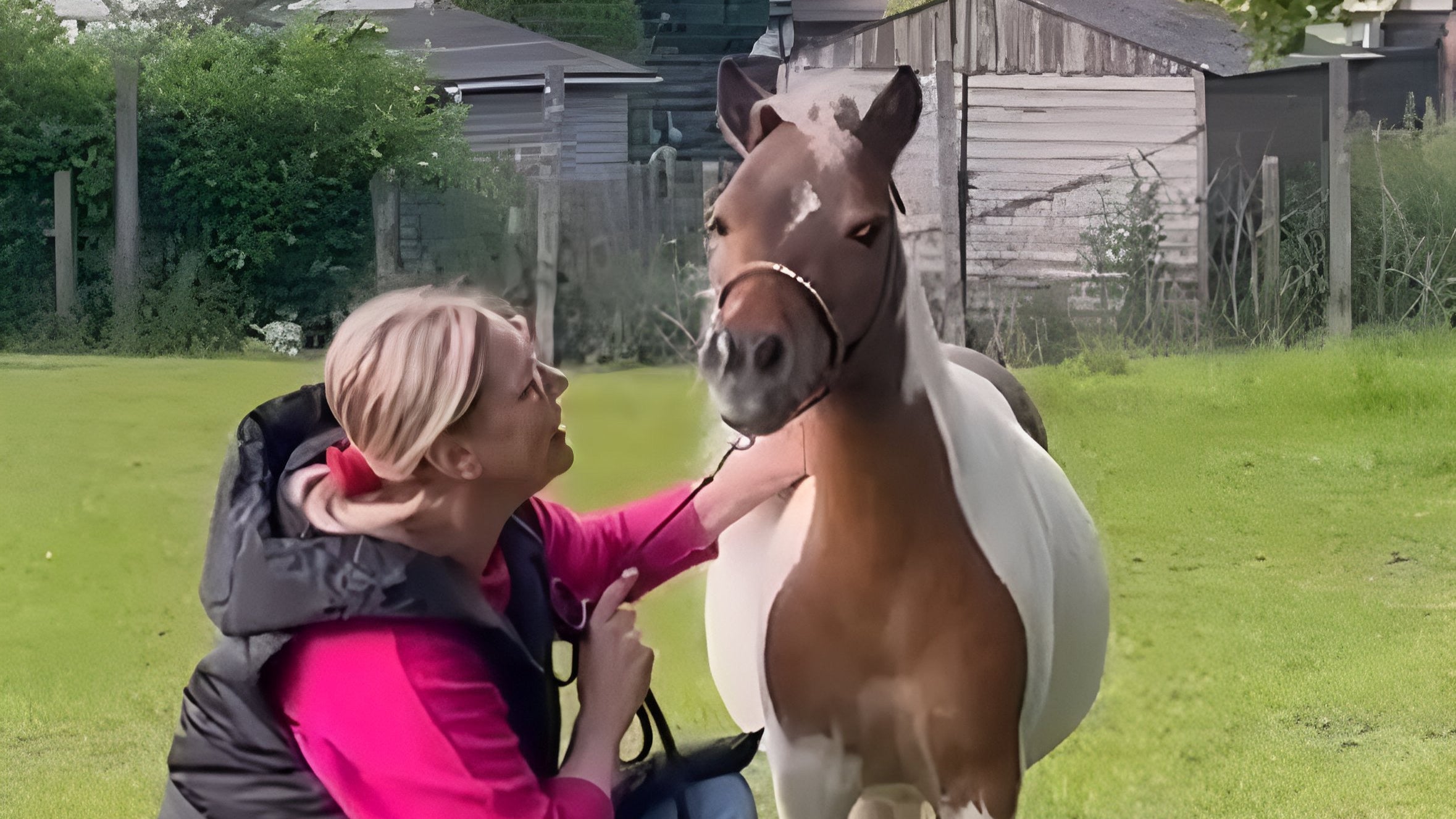 pony_steady&stable