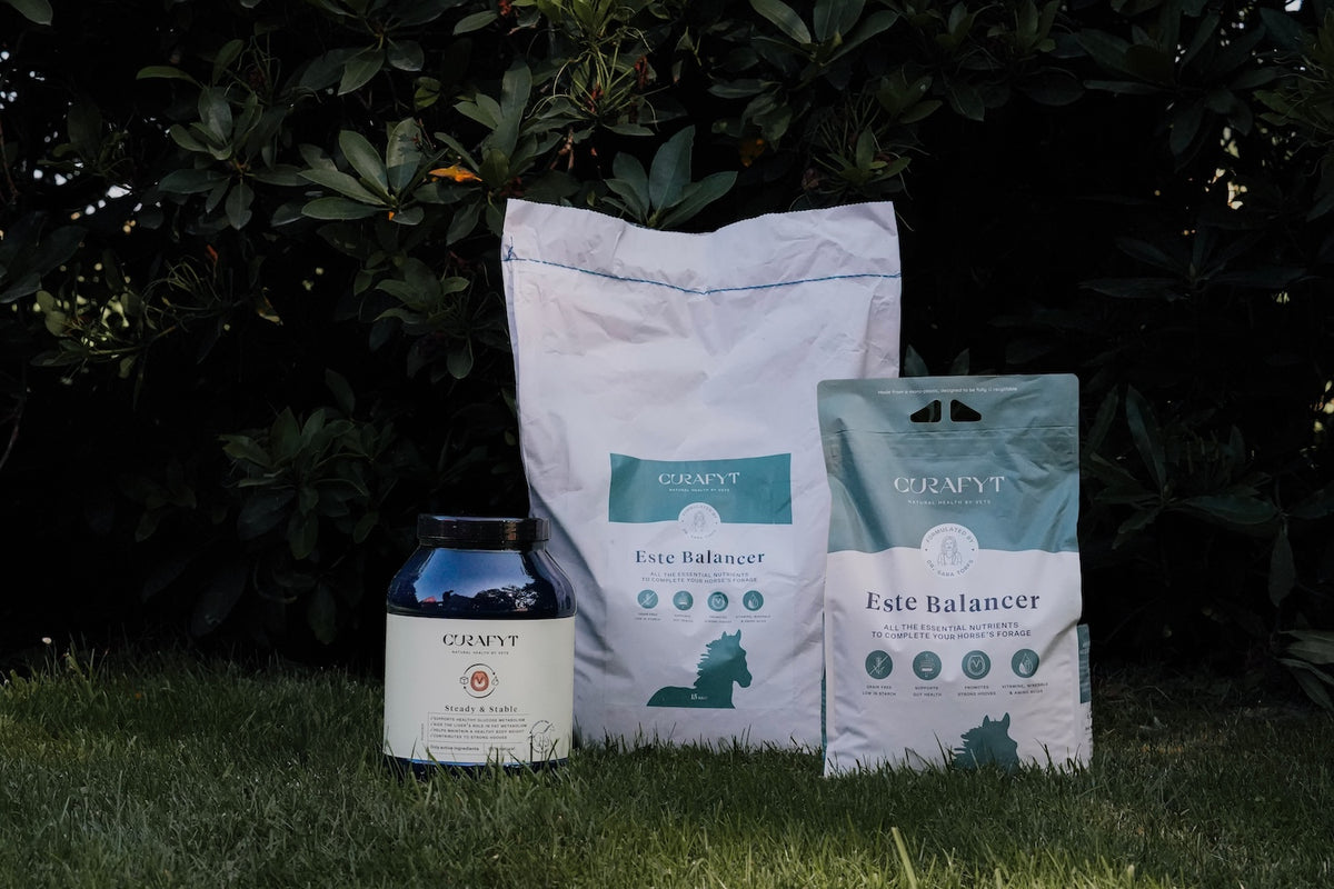 Este Balancer 15 kg en 7,5 kg, een pot Steady & Stable van 1,5 kg en de doseerbeker