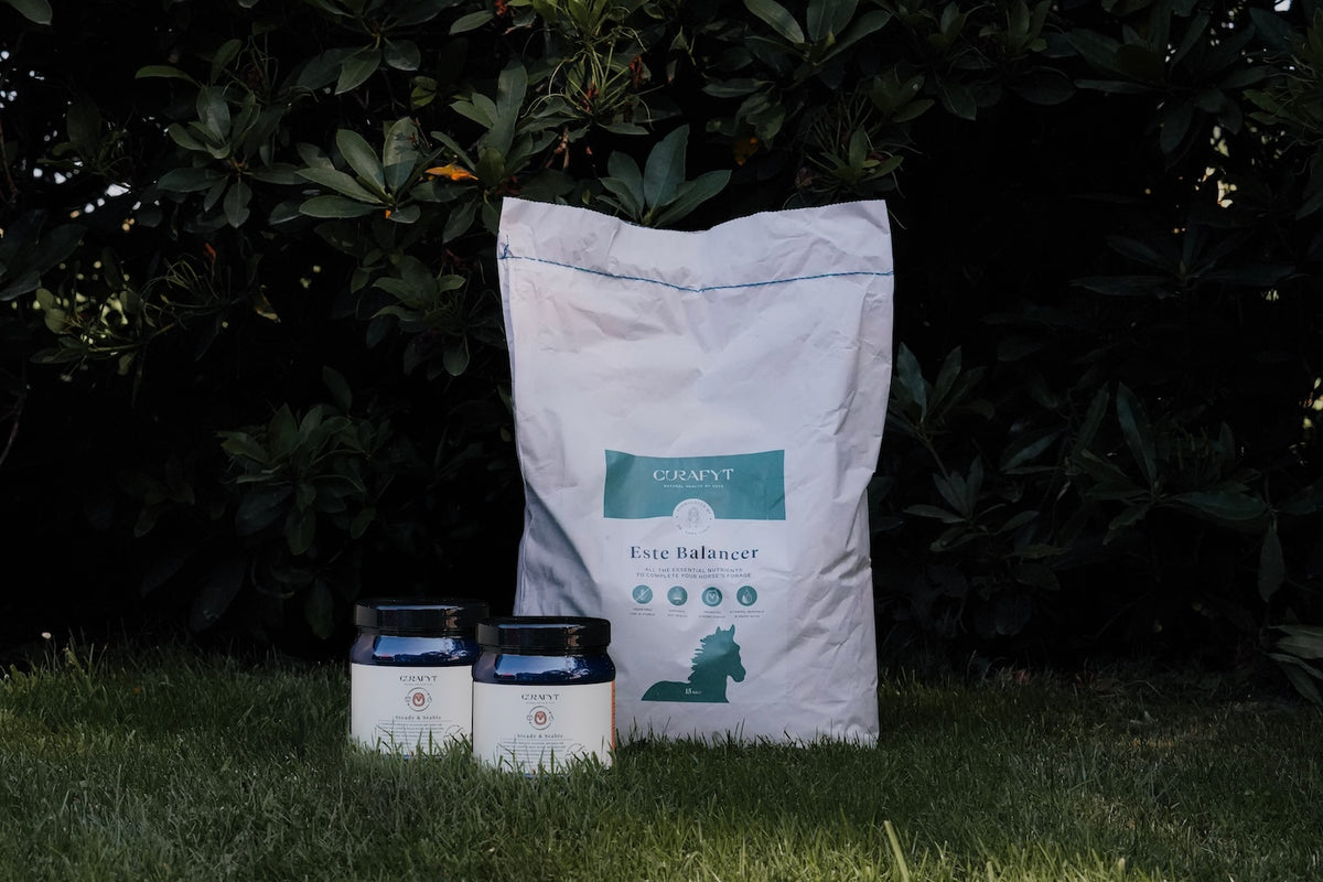 Este Balancer 15 kg, twee potten Steady & Stable van 500 g en de doseerbeker