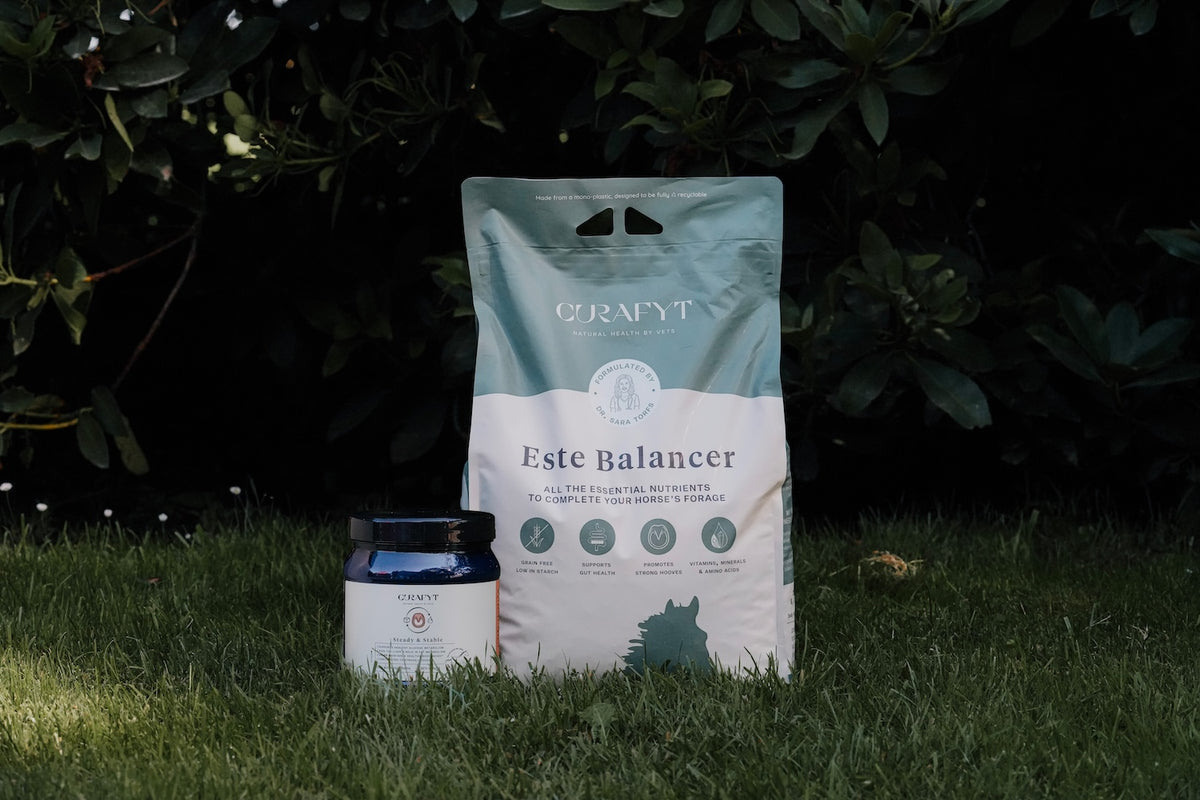 Este Balancer 7,5 kg, een pot Steady & Stable van 500 g en de doseerbeker