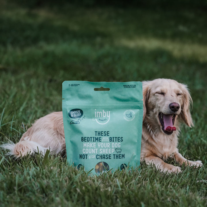 IMBY Hundesnacks zur Schlafenszeit