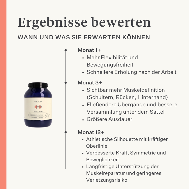 Body & Build Ergänzungsfuttermittel für Pferde, unterstützt Muskelaufbau und Regeneration, reich an Aminosäuren und natürlichen Inhaltsstoffen, verbessert Kraft und Leistung. | localization: DE