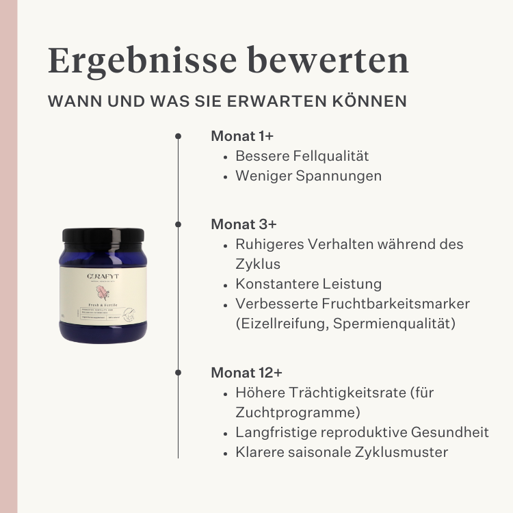 Stute Fohlen Pferd Pony Fruchtbarkeit Gebärmutter Rosse Stutenverhalten Zyklus rossig pferdeartige Hormonbalance| localization: DE