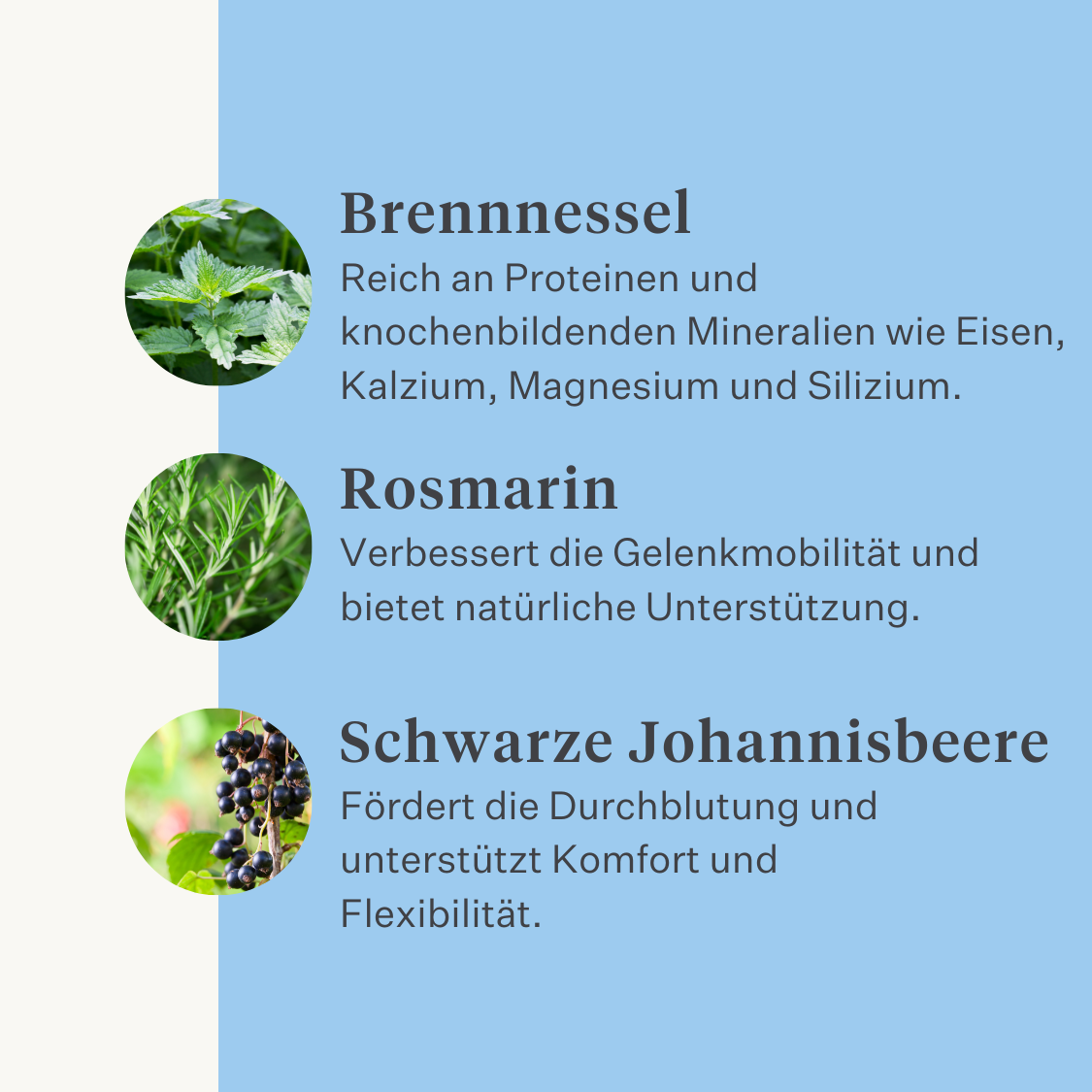 Natürliches Ergänzungsmittel für Pferd und Pony, Gelenke, Bänder, Sehnen, Muskeln | localization: DE