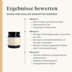 Steady&Stable Curafyt Ergänzung für Pferde und Ponys, Hufrehe, empfindliche Hufe, Insulin, Glukose, PPID, Cushing-Syndrom | localization: DE