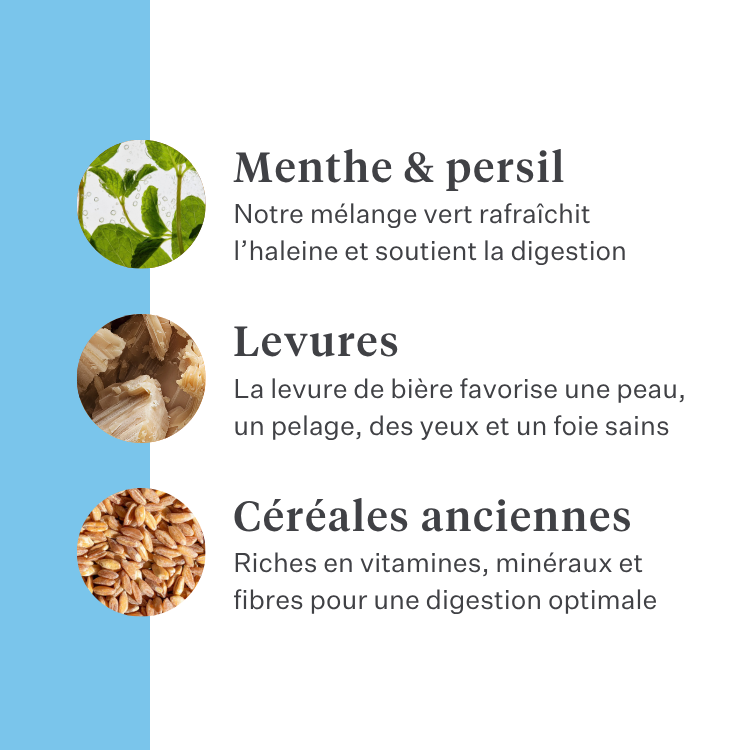 Imby bâtonnets dentaires végétaux pour chiens, soutiennent la santé dentaire et aident à réduire la plaque, aident à nettoyer les dents et à maintenir des gencives saines, enrichis en menthe et persil pour une haleine fraîche, friandise naturelle et très appétente pour un usage quotidien. | localization: FR