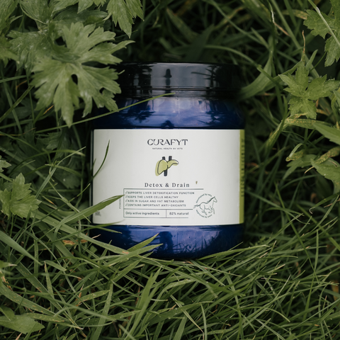 Detox & Drain Complément alimentaire