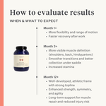 Body & Build supplement for horses, supports muscle mass building and recovery, rich in amino acids and natural ingredients, enhances strength and performance. | localization: EN