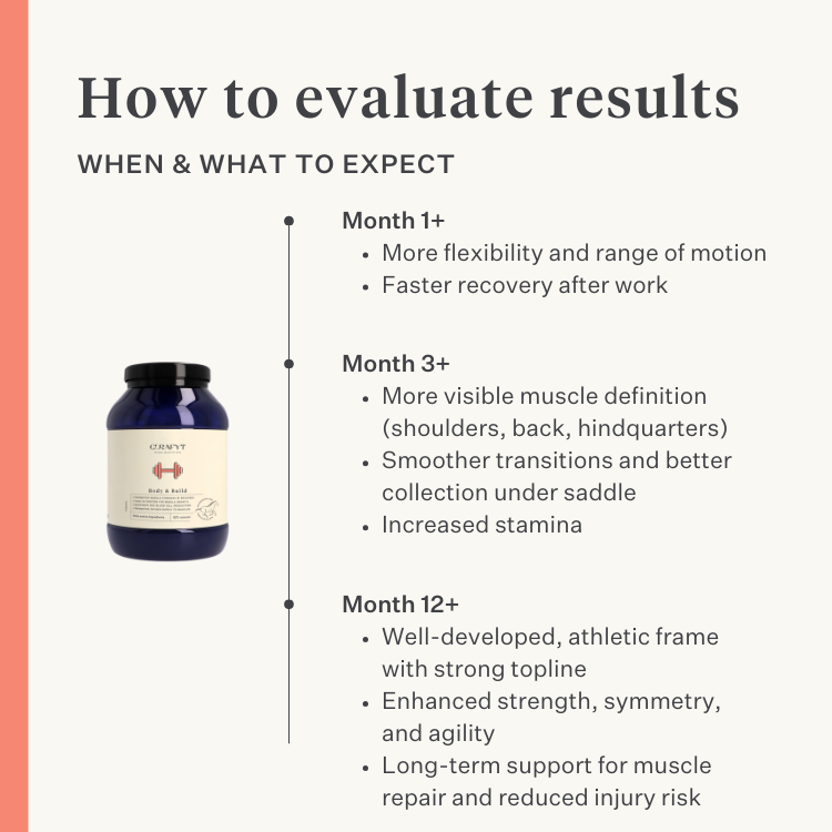 Body & Build supplement for horses, supports muscle mass building and recovery, rich in amino acids and natural ingredients, enhances strength and performance. | localization: EN