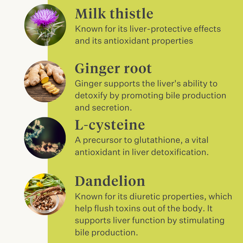 Detox & Drain | Horse Supplement Liver Detox Curafyt Detox & Drain | Horse Supplement Liver Detox Curafyt