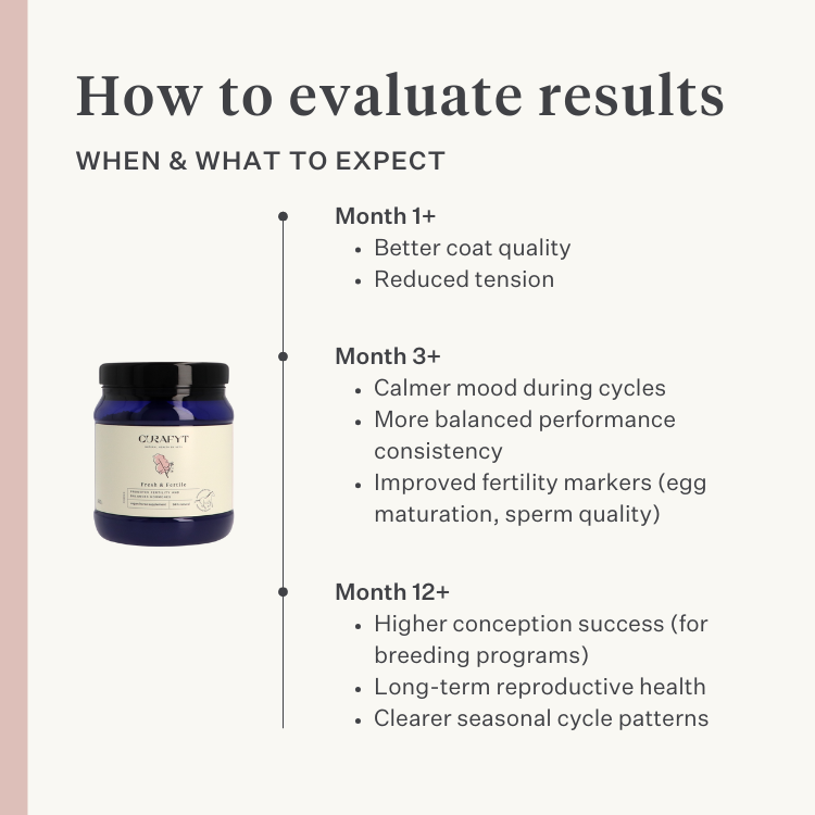 mare foal horse pony fertility womb estrus mare behavior cycle in heat equine hormone balance| localization: EN
