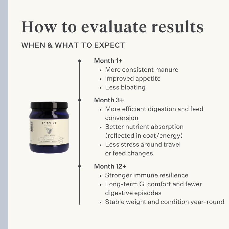 horse pony gut colic gas stomach ulcers probiotics prebiotics flaxseed diarrhea watery feces soft feces | localization: EN
